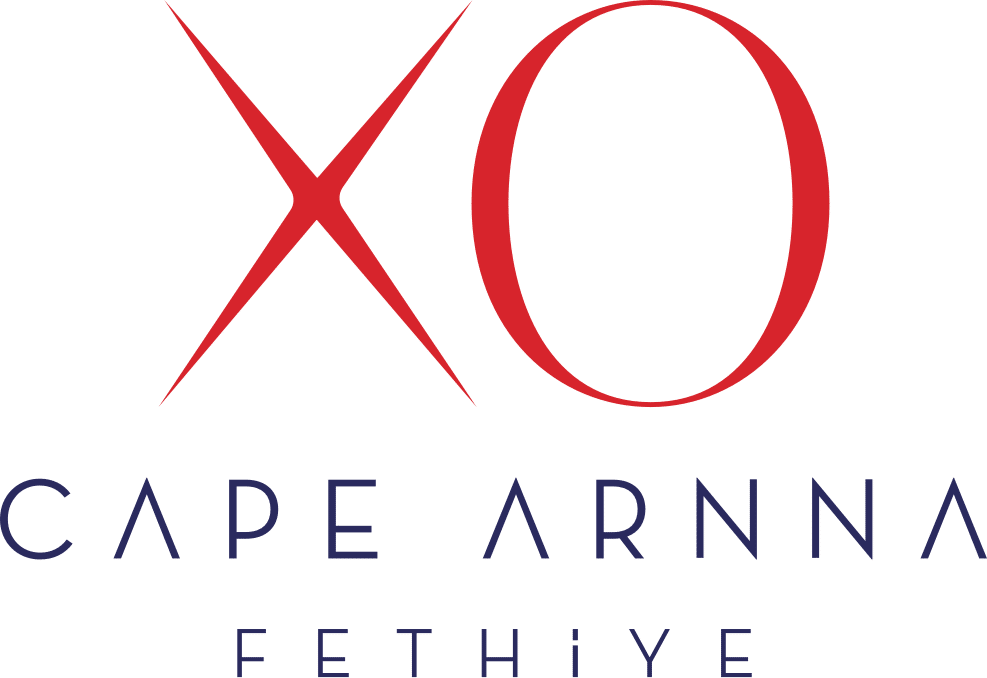 XO Collection Logo